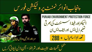 Latest Jobs in Punjab Environment Protection Force  Inspector amp Field Assistant  Apply Online [upl. by Atnoek]