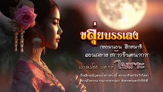 เพลงบรรเลง กล่อมนอน ผ่อนคลาย บรรเลง เพลงขลุ่ย Instrumental Music  flute music ขลุ่ย flute [upl. by Whitcomb395]