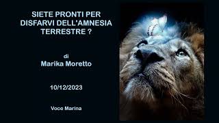 SIETE PRONTI PER DISFARVI di Marika Moretto 10122023 [upl. by Lacsap563]