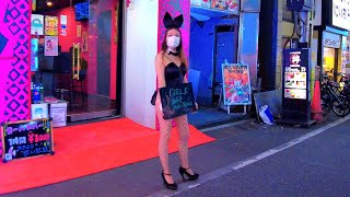 Japan Walk Kabukicho late at night Bunny red light district adult alley in Shinjuku Tokyo｜4K 歌舞伎町 [upl. by Alyek]