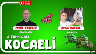 KOCAELİ  Canlı Yayın  Bariyer Dibi  8 Ekim 2024 Salı atyarisi [upl. by Anas]