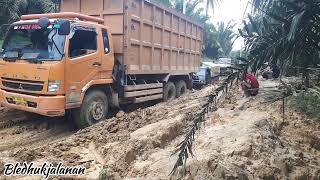 Driver Si Oren memang mantapMau Menunggu Si L300 Yang Butuh Bantuan [upl. by Harvard460]