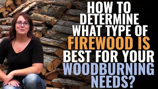 How to Determine What Type of Firewood Is Best For Your Woodburning Needs [upl. by Salene]