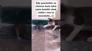 Gdy powiesiłeś na choince dwie takie same bombki obok siebie…🤣🤣🤣 choinka swieta rodzina [upl. by Urbanus]