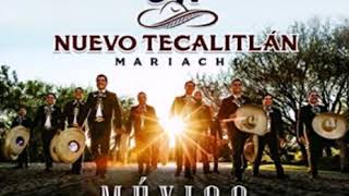 MARIACHI NUEVO TECALITLAN  DISCULPE USTED [upl. by Anez225]