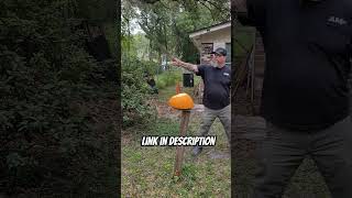 SENSATIONAL CUTLASS PUMPKIN SLICING sharp sword shorts [upl. by Potter]