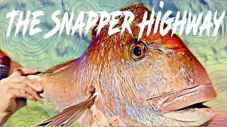 Do Snapper Prefer Deep or Shallow water A Western Port Snapper Special [upl. by Hynda]