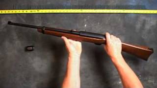 Bullet Point Profiles Ruger 1022 Carbine [upl. by Ojadnama243]