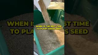 When is the best time to plant grass seed shorts [upl. by Ronoel]