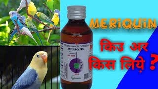 Meriquin Meriquin best season medicine magic antibiotic medicine for bird deeppetslover988 [upl. by Trelu]