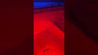 ASMR Nighttime Pool Splashes with ColorChanging Lights 🌈✨ [upl. by Hahsia]