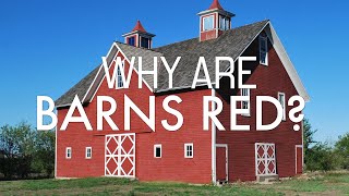 Why Are Barns REALLY Red SCIENCE [upl. by Oswald673]