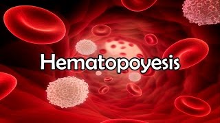 Hematopoyesis [upl. by Miki534]