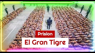 La prisión de El Gran Tigre La más cruel del mundo [upl. by Nad93]