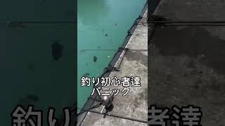 【沖縄】釣った魚がデカすぎてパニックになる釣り初心者（釣りあるある） 【もとぶ元気村】沖縄本島 生き物 生物 釣り堀 観光 旅行 おでかけ 本部町 熱帯魚 レジャースポット [upl. by Ahsinak]