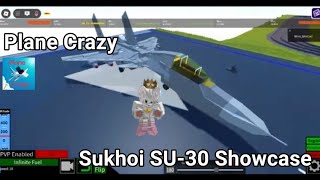 Plane Crazy Sukhoi SU 30 Showcase [upl. by Kriste]