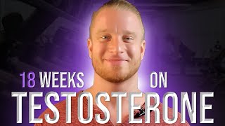 18 Week Testosterone Cycle Update [upl. by Kaazi]