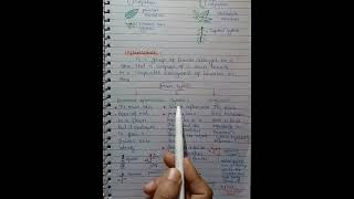 Inflorescence  Racemose Cymose And Compound Inflorescence  In Urdu Hindi Class 11 [upl. by Eciralc]