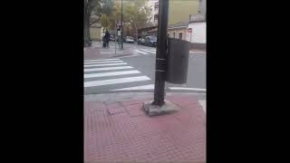 21111242 SENSIVIDEO Todoterrenos blancos X 202 [upl. by Arley]