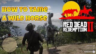 Red Dead Redemption 2 How To Tame A Wild Horse [upl. by Nevarc]