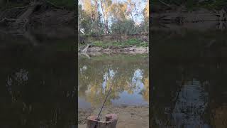 goulburn river Victoria riverside Australia fishing camping vanlife [upl. by Aihpled775]