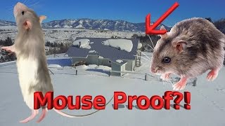 Mouse Proofing Jerrys Cabin  VICTORY [upl. by Ahl]