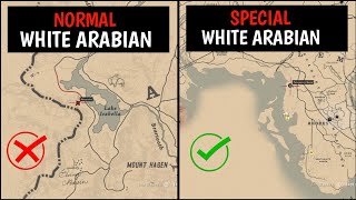 One amp Only Special White Arabian Horse That 99 Players Missed  RDR2 [upl. by Pufahl]