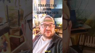 Terraristika Hamm 2024 shorts spinne terraristik [upl. by Eelitan349]