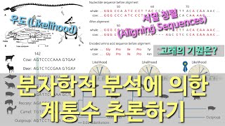 진화론 이해하기 12 계통수Evolutionary Tree 추론하기 3 분자학적 분석 [upl. by Scales]