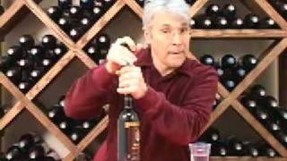 Vacu Vin Wine Preservation HowTo [upl. by Maribeth]