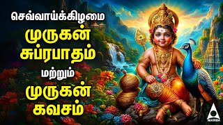 Tuesday Powerful Murugan Suprabatham And Muruga Kavasam  Murugan Bakthi Padalgal [upl. by Anuaek]