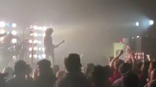 The Velcro Pygmies in Saraland AL [upl. by Assilana]