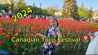 Canadian Tulip Festival 🌷 Ottawa 2024 Drone showtulipsfestival [upl. by Nosredna]