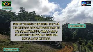 Sítio a venda 23 hectaresterra boa para plantio de café e cacau com nascente de água em Maraú  BA [upl. by Gabbi]