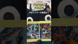 【ラッキーな星座・魚座♓️】異国のモノ、世代の違うモノ自分のと混ぜてみる愉しんで！ボイジャータロットampアロマセラピストPopoki Moon 慈MEGUMI ボイジャータロット 星座 占い [upl. by Lezti290]