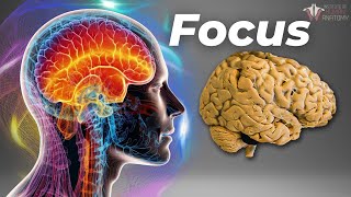 The Neuroscience of Focus [upl. by Acinahs669]