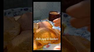 How to make instant potato and onion Kachori recipe very easily food shorts ytshorts [upl. by Jefferson]