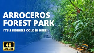 Arroceros Forest Park  Manilas Last Lung  Full Walk Tour [upl. by Dorolisa]