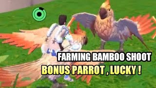 Location Bamboo Shoot Bonus Mottled Parrot  Utopia Origin Indonesia Android 72 [upl. by Andeee417]