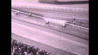 War Admiral rare footage [upl. by Hgielac220]