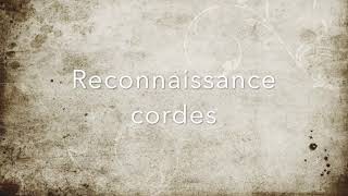 Reconnaissance cordes frottées [upl. by Bock]