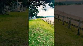 Paihia Beach amp Te Ti Bay New Zealand shorts naturewalk naturelovers birdloversdaily birding [upl. by Latini]