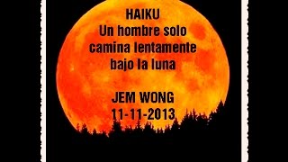 HAIKUS POR FANNY JEM WONG 05 [upl. by Rebma]