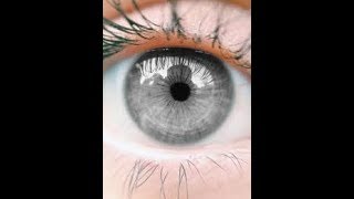 top 10 grey eye facts [upl. by Origra]