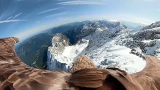 Einzigartige Bilder Adler fliegt mit Kamera über die Alpen [upl. by Delanos]