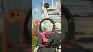 Call Of Duty Black Ops 6 PP919 Gold Camo Unlocked Headshots And Special Challenges Completed [upl. by Ecirtnom]