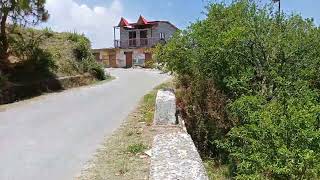 2 nali land available for sale Mukteshwar nainital fruit apple garden property for sale Uttarakhand [upl. by Anaimad]