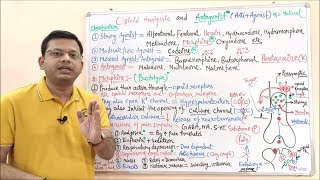 Opioid Analgesic amp Antagonist Part 03  Classification MOA and Pharmacological Effect of Opioid [upl. by Adnileb]