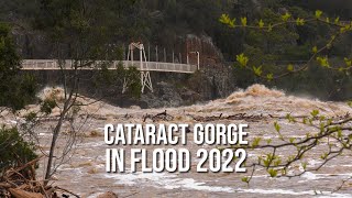 Cataract Gorge in flood 2022 [upl. by Eirol]