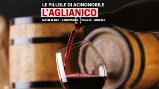 L Aglianico Il Barolo del Sud [upl. by Gnod]